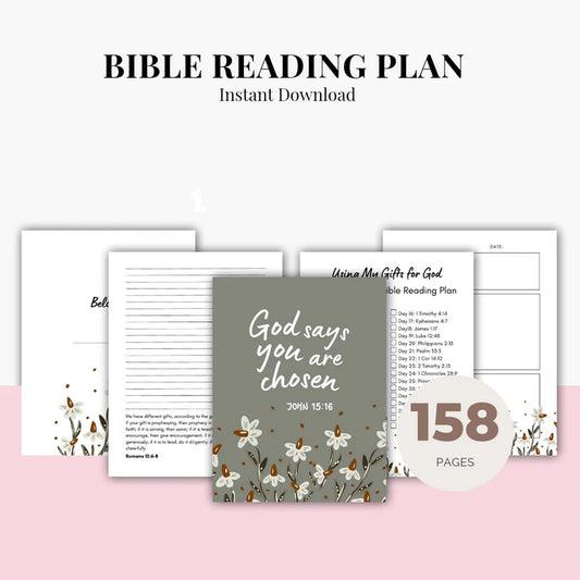 Bible Reading Plan