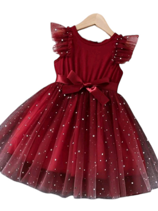 Maroon Mesh Dress