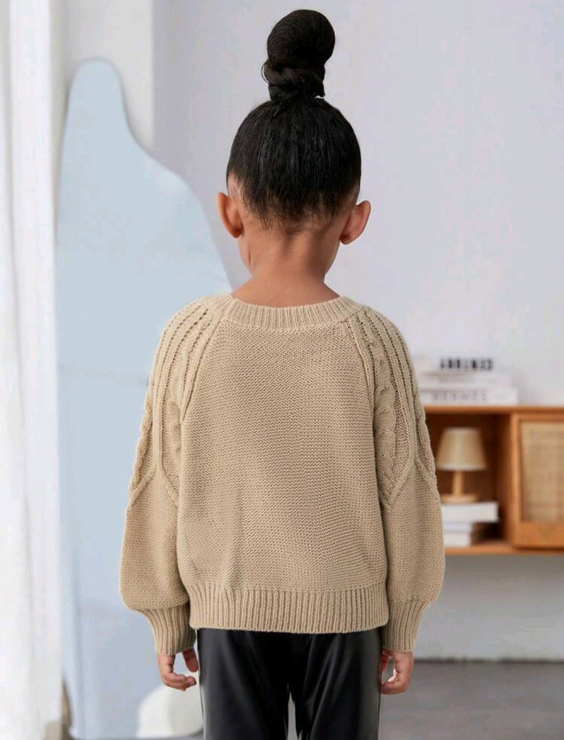 Beidge Crewnek Cable Knited Sweater Gender Neutral